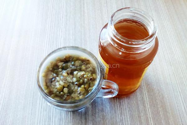 蜂蜜绿豆汤的做法图解3