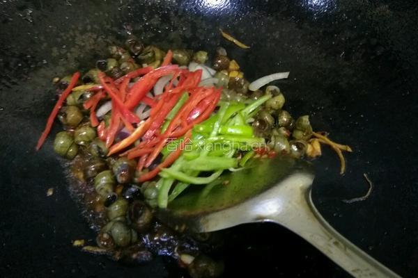 爆炒螺蛳的做法图解6
