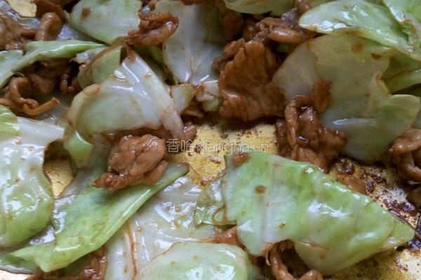 莲花白炒肉的做法图解5