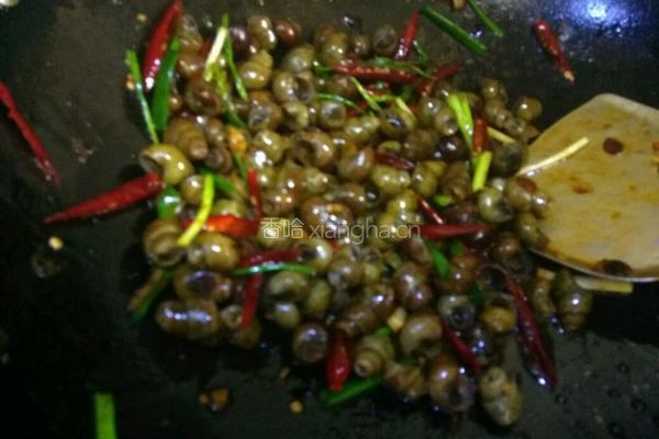 酸辣炒田螺的做法图解7