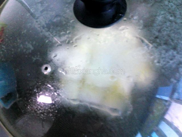 加入少许盐和水翻炒一会儿之后盖上锅盖，烧至九成熟。