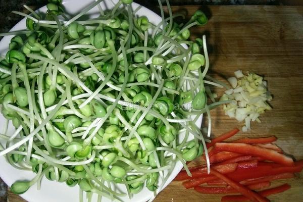 清炒黑豆芽的做法图解1