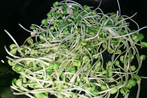 清炒黑豆芽的做法图解3