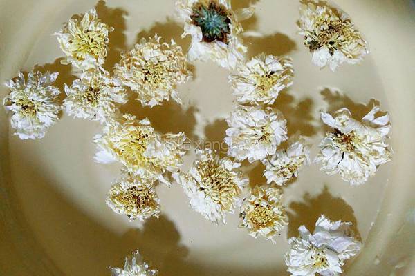 雪梨菊花茶的做法图解3