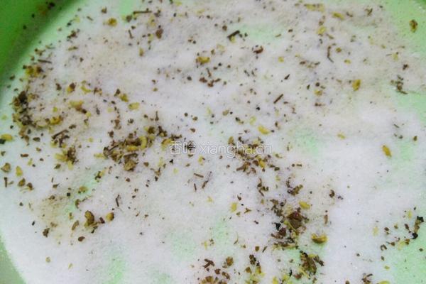 霉豆腐的做法图解4
