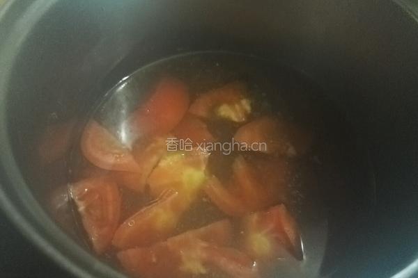 西红柿牛腩面的做法图解6