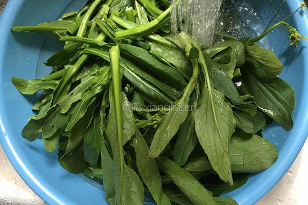 虾皮炒青菜心的做法图解1