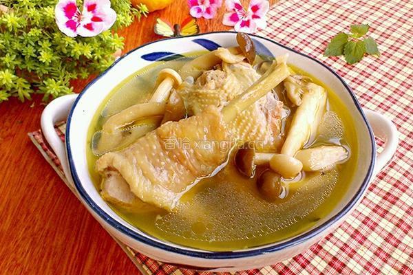 蘑菇炖鸡的做法图解7