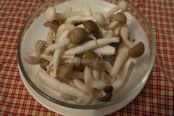 蘑菇炖鸡的做法图解1