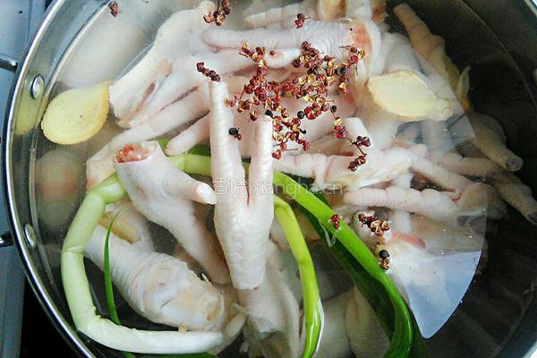 秘制泡椒凤爪的做法图解7
