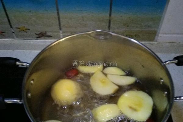 苹果大枣茶（补气血）的做法图解3