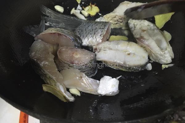 啤酒鲤鱼的做法图解3