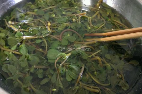 凉拌野菜马齿苋的做法图解4
