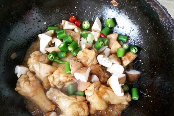 香菇鸡翅根的做法图解8