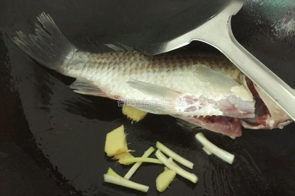 鲫鱼萝卜豆腐汤的做法图解4