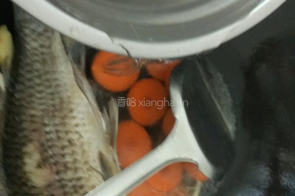 鲫鱼萝卜豆腐汤的做法图解6