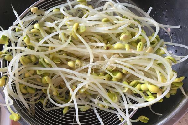 凉拌黑豆芽的做法图解4