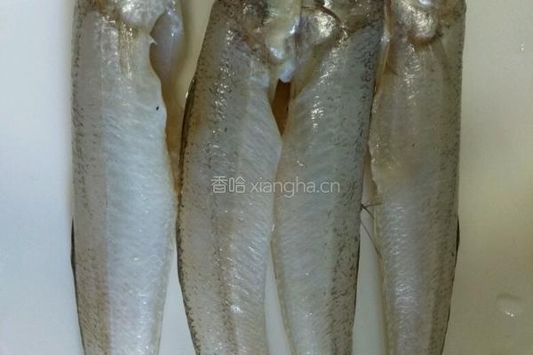 红烧沙丁鱼的做法图解1