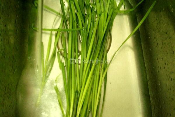 虾米豆枝韭菜的做法图解3
