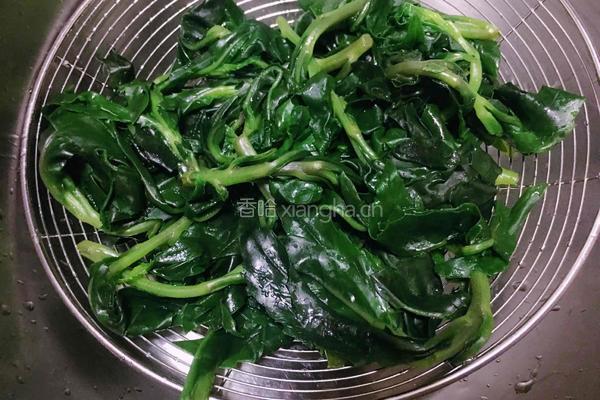 凉拌血皮菜的做法图解4
