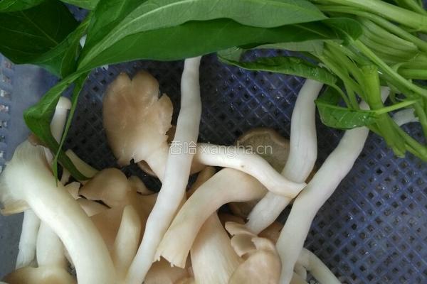 菌菇蝴蝶面的做法图解1