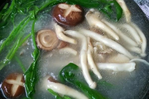 菌菇蝴蝶面的做法图解7
