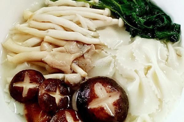 菌菇蝴蝶面的做法图解9