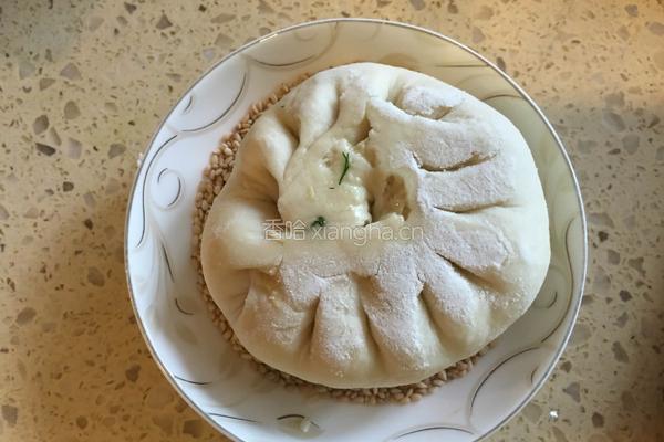 茴香烧饼的做法图解16