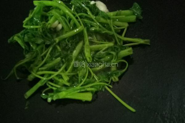 蒜蓉空心菜的做法图解6