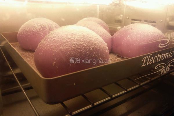 紫薯椰蓉面包(普通面粉版)的做法图解12