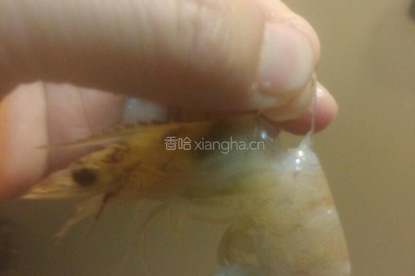 葫芦水饺的做法图解2