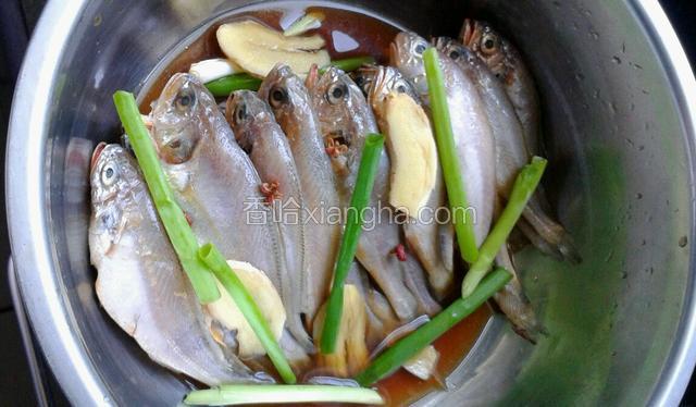 黄花鱼去腮和内脏清洗干净，用葱姜干辣椒，花椒，盐，料酒腌制一个小时。