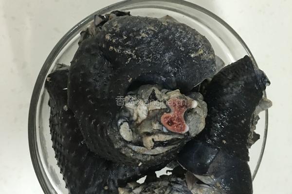 滋补乌鸡汤的做法图解3