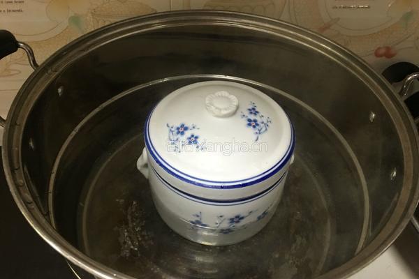 滋补乌鸡汤的做法图解6