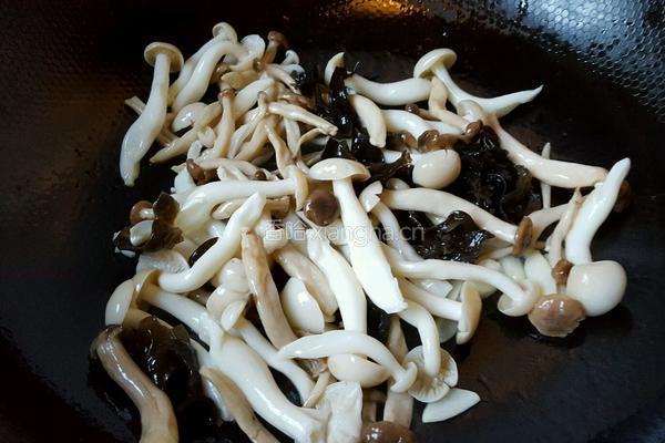 野菌汤的做法图解3