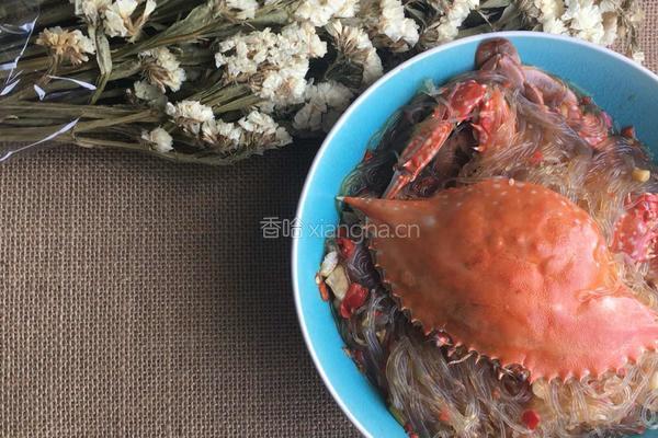 螃蟹粉丝煲的做法图解14