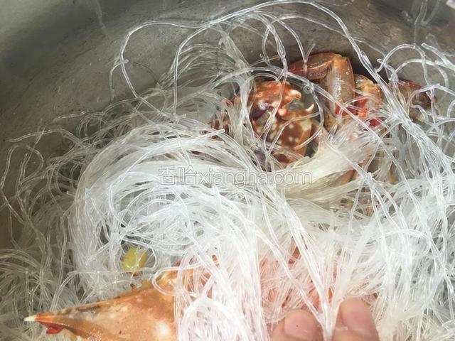 把蟹腿放在下面。铺上粉丝
