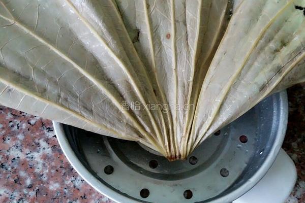 荷叶糯米饭的做法图解3