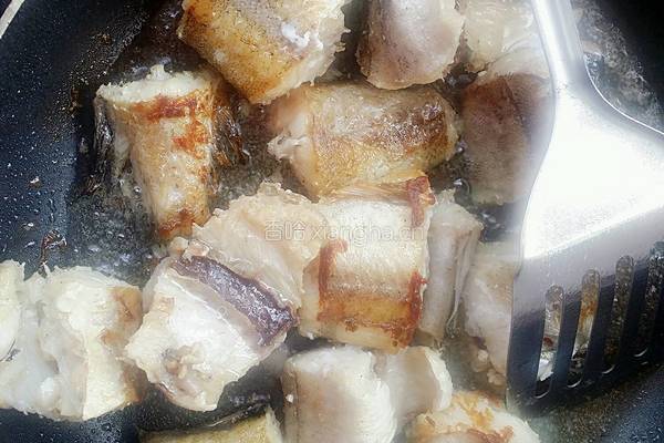 香辣鳕鱼炖豆腐的做法图解4