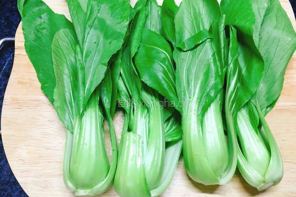 青菜汁的做法图解1