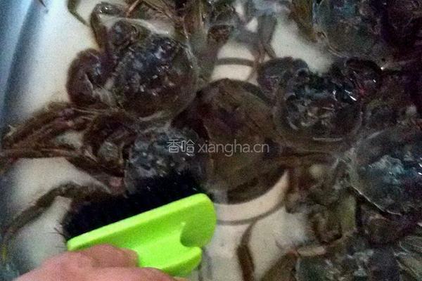 椒盐虾蟹的做法图解2