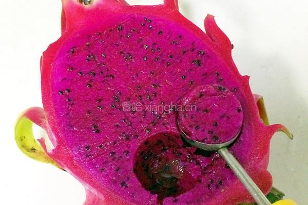 火龙果酸奶的做法图解2