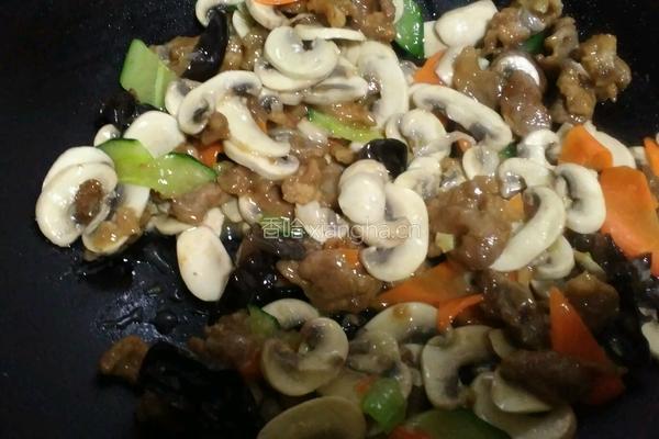 鲜蘑炒肉片的做法图解17