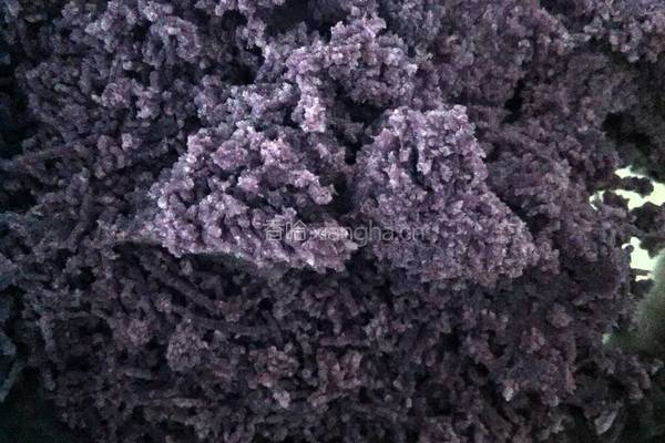 奶香紫薯馅的做法图解4