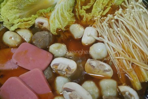 鸡肉火锅的做法图解9