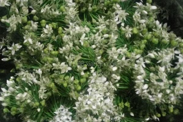 花生米韭菜花的做法图解1