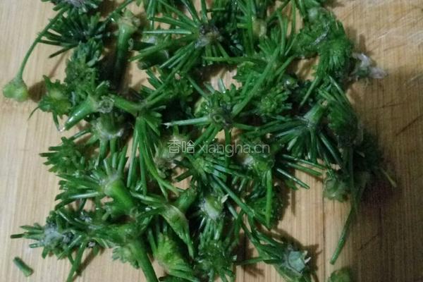 花生米韭菜花的做法图解6