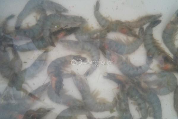 焖大虾的做法图解1