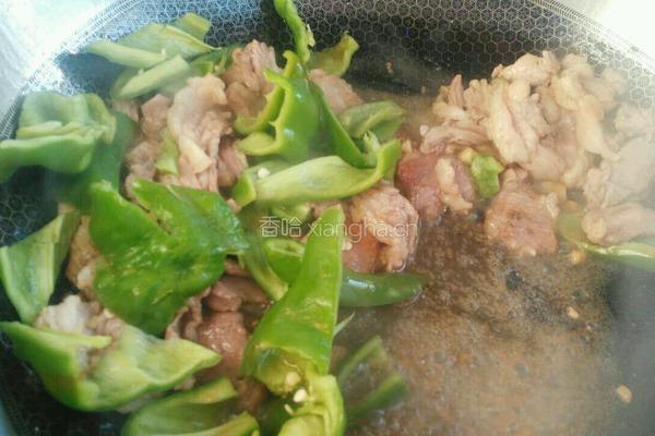 洋葱烧肉的做法图解8