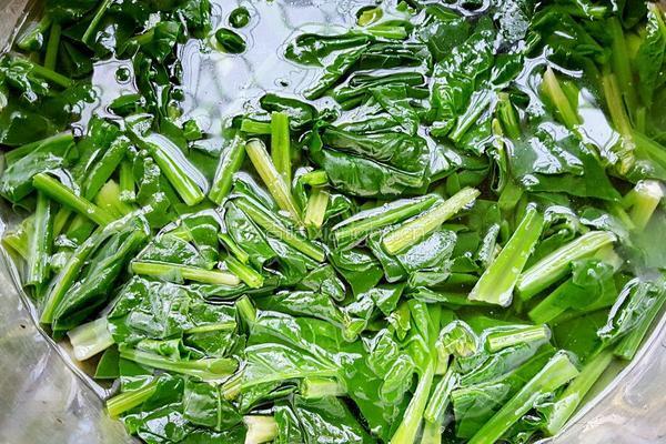 芝麻拌菠菜的做法图解1